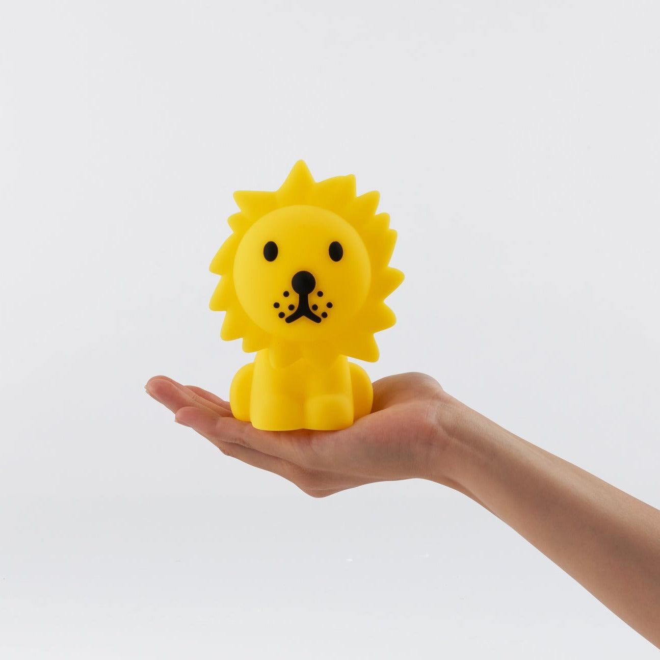 Lion Bundle of light-Fun-Little Fish Co.