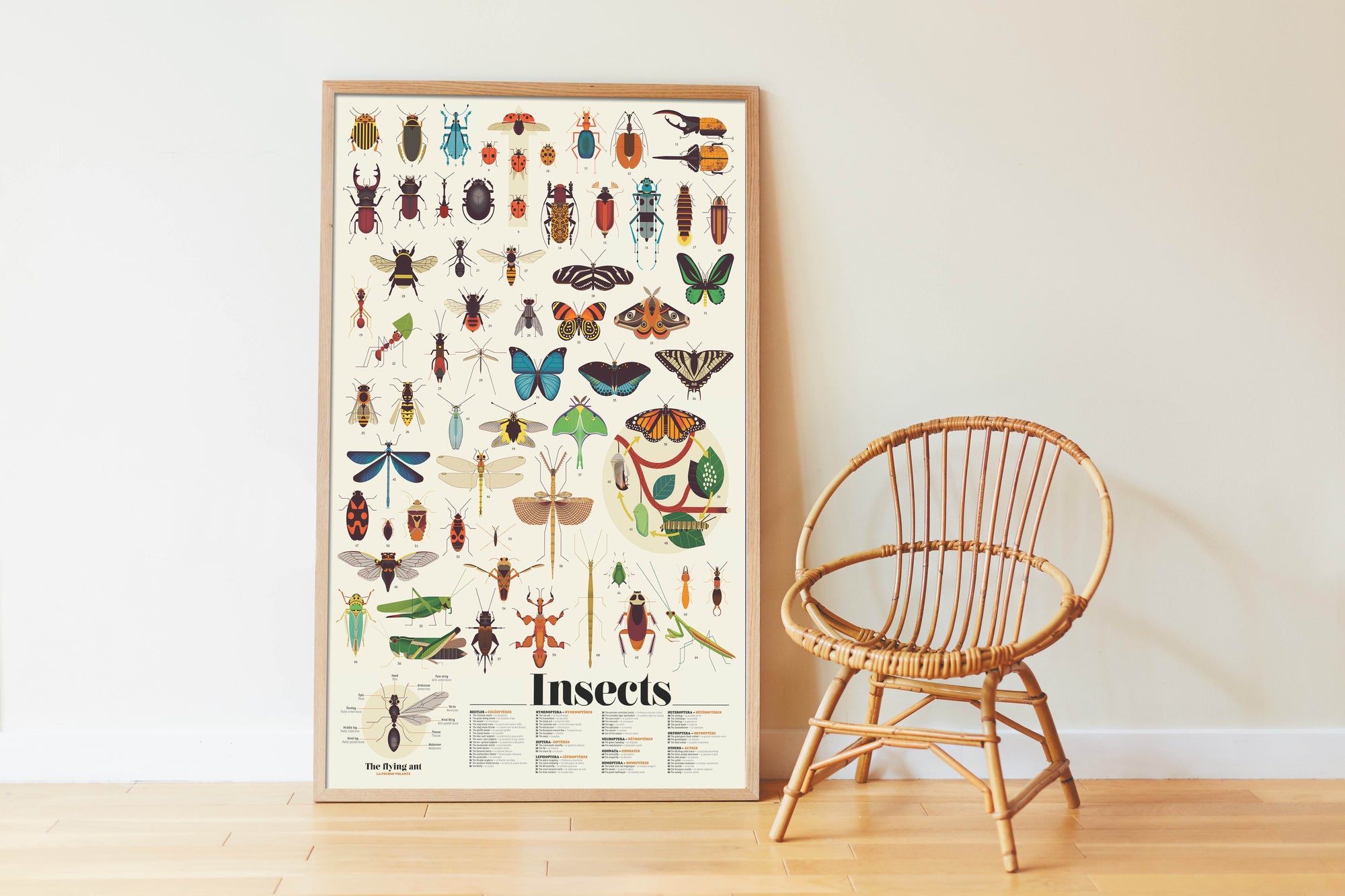 Discovery Stickers Insects-Little Fish Co.