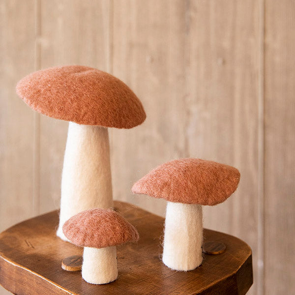 Muskhane Mushroom Sand-Fun-Little Fish Co.