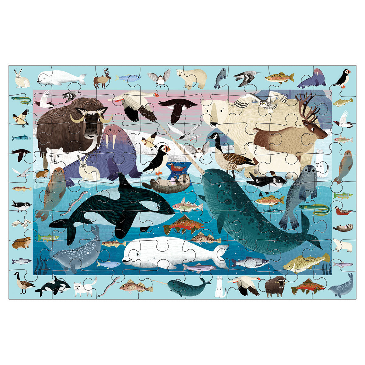 Search and find Puzzle - Artic life-Little Fish Co.
