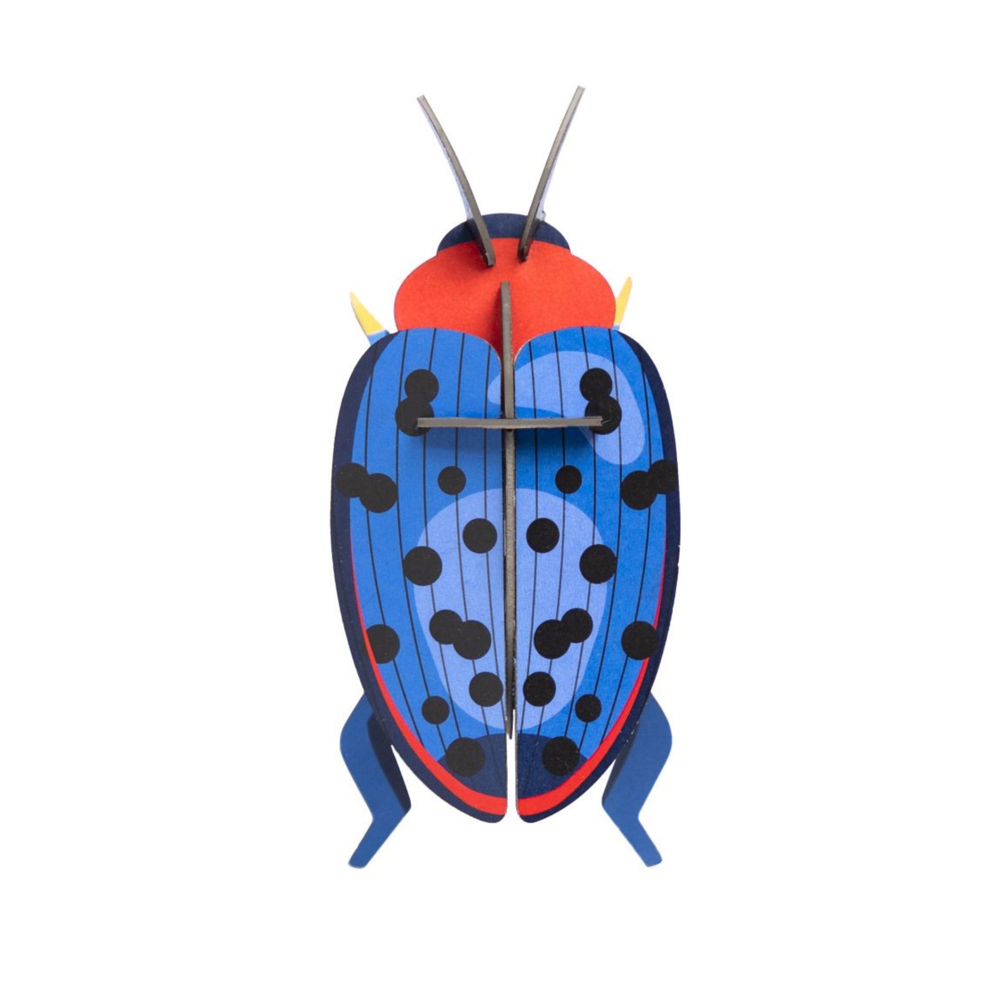 Fungus Beetle-Top 30 Decor-Little Fish Co.