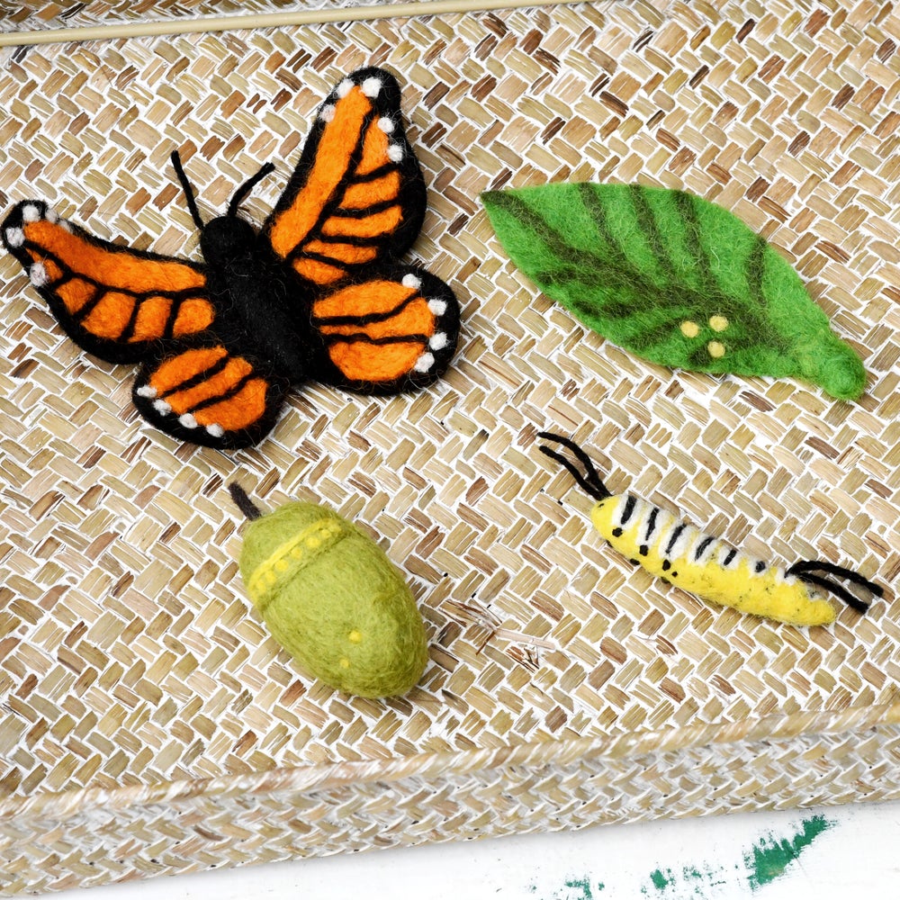 Felt lifecycle of sea Monarch butterfly-Fun-Little Fish Co.