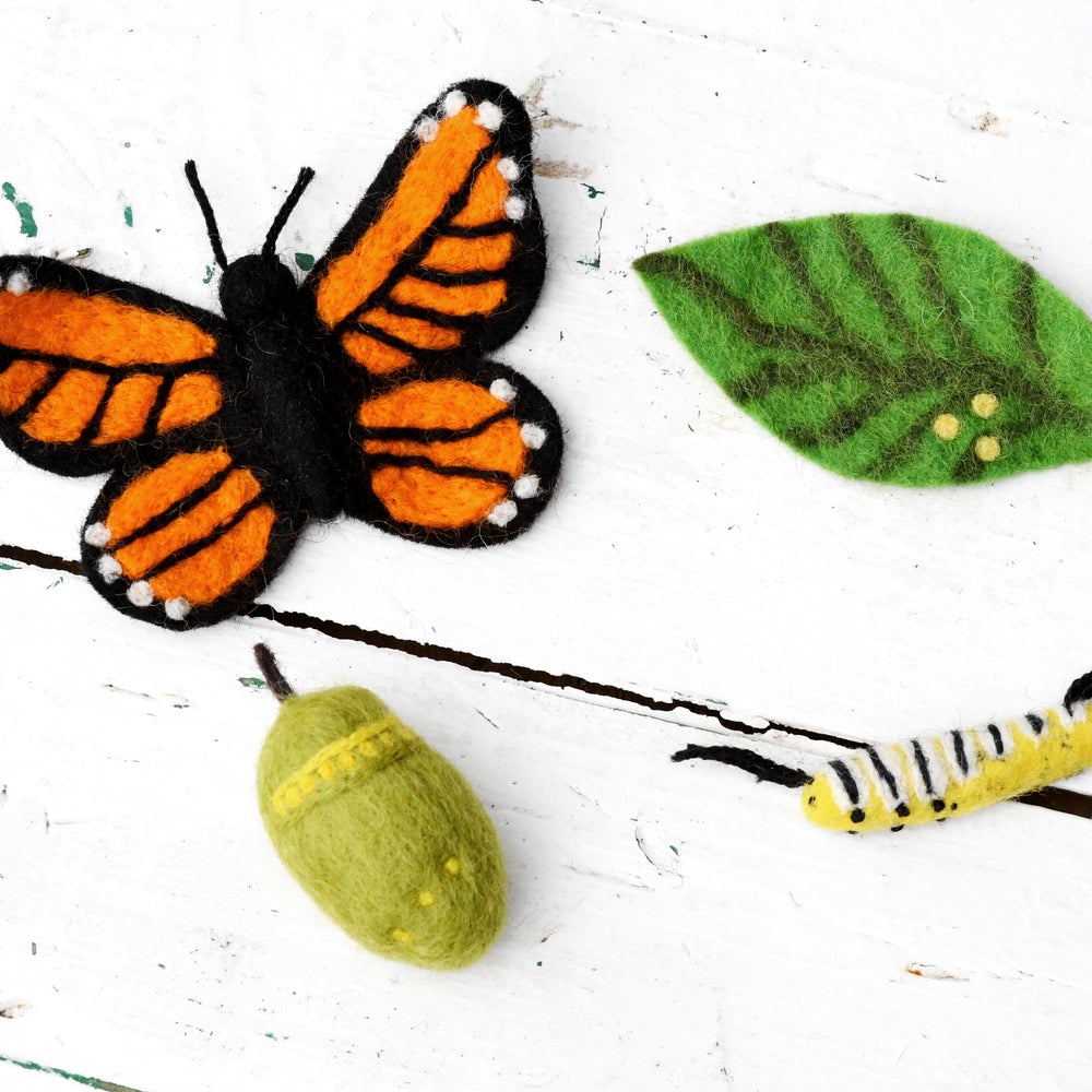 Felt lifecycle of sea Monarch butterfly-Fun-Little Fish Co.