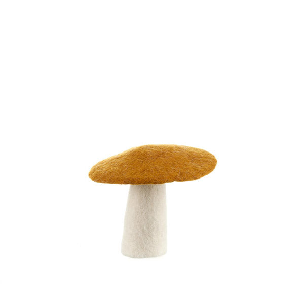 Muskhane Mushroom Gold-Fun-Little Fish Co.