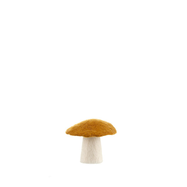 Muskhane Mushroom Gold-Fun-Little Fish Co.