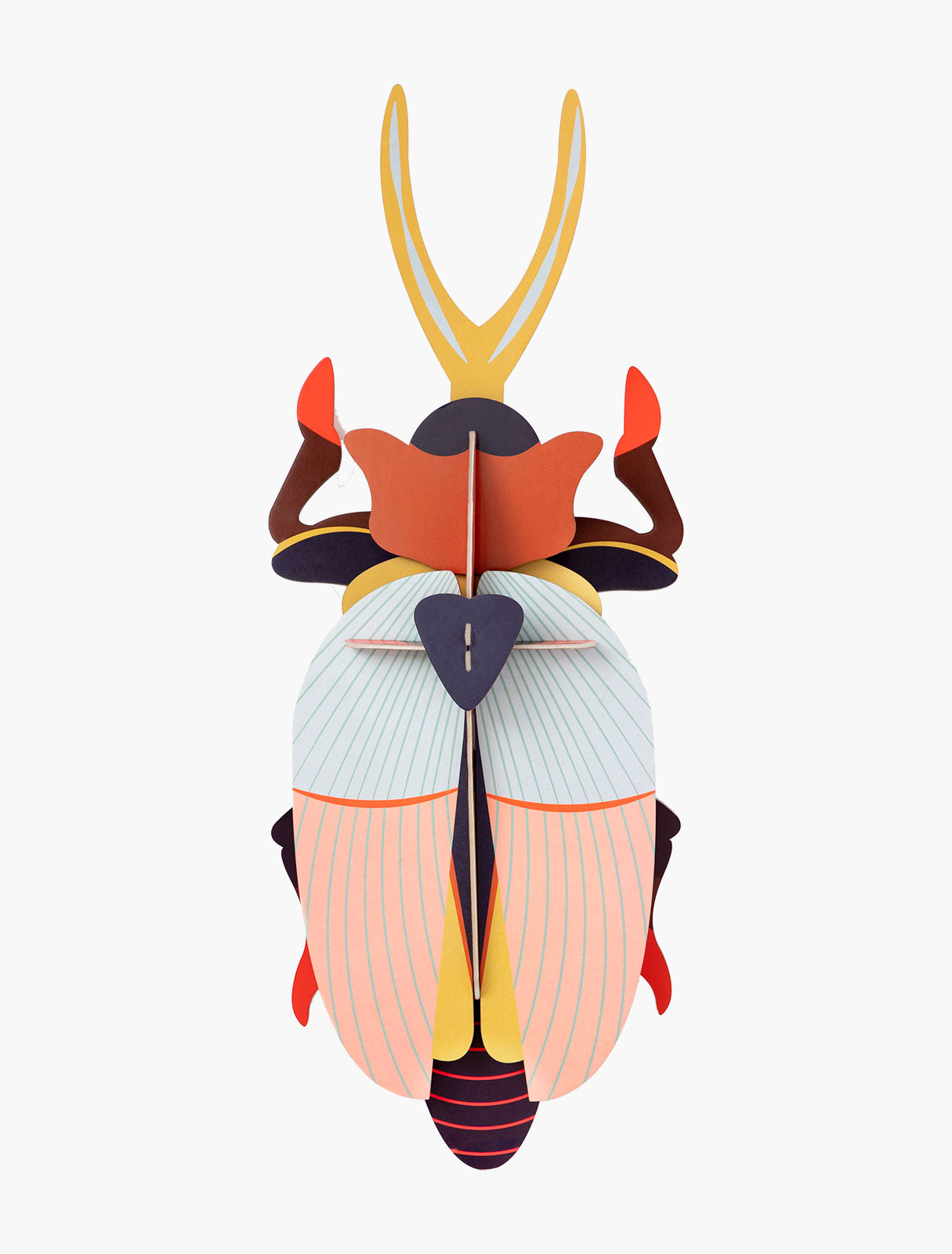Deluxe Rhinoceros Beetle-Little Fish Co.