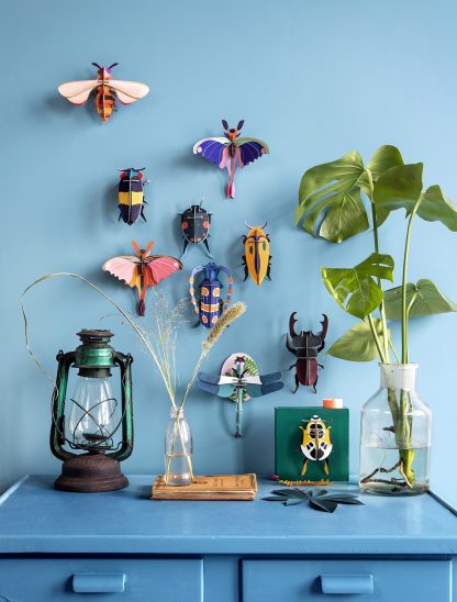 Rosalia Beetle-Top 30 Decor-Little Fish Co.