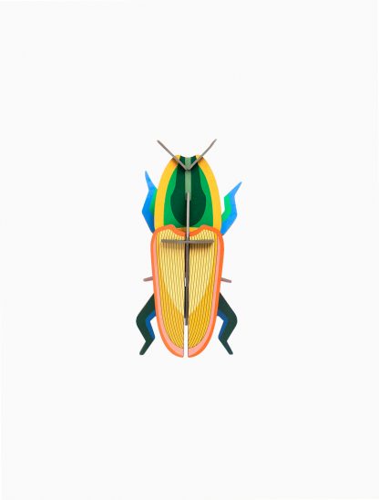 Madagascar Beetle-New Arrivals 2025-Little Fish Co.