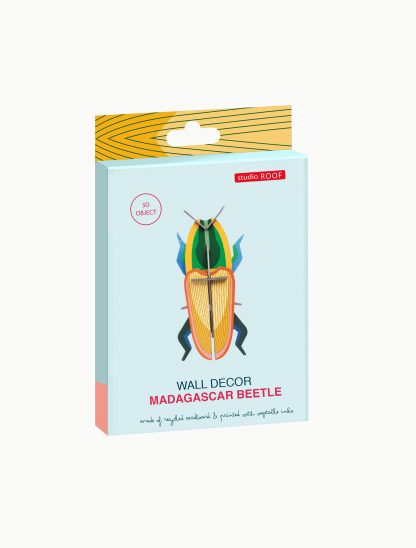 Madagascar Beetle-Top 30 Decor-Little Fish Co.