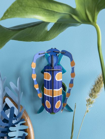 Rosalia Beetle-Top 30 Decor-Little Fish Co.