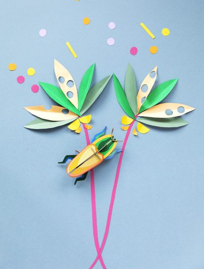 Madagascar Beetle-Top 30 Decor-Little Fish Co.