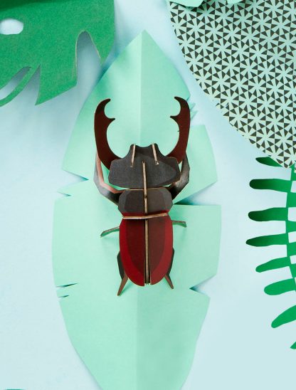 Stag Beetle-Little Fish Co.