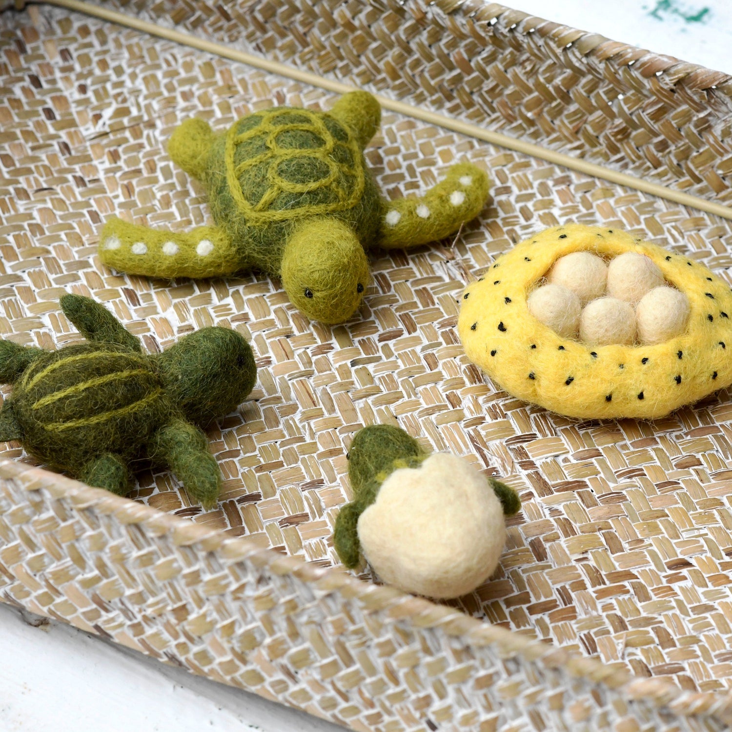 Felt lifecycle of sea turtle-Fun-Little Fish Co.