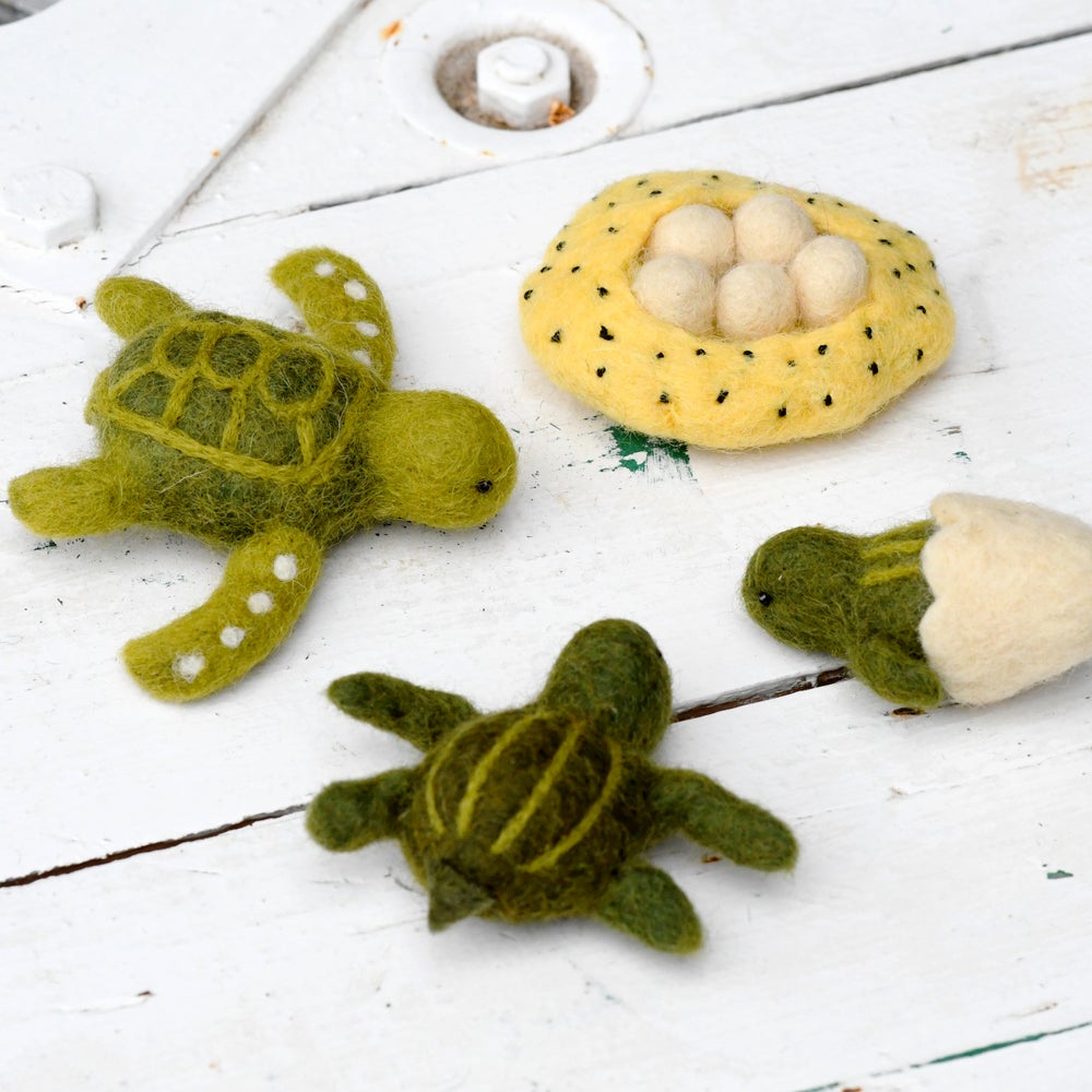 Felt lifecycle of sea turtle-Fun-Little Fish Co.