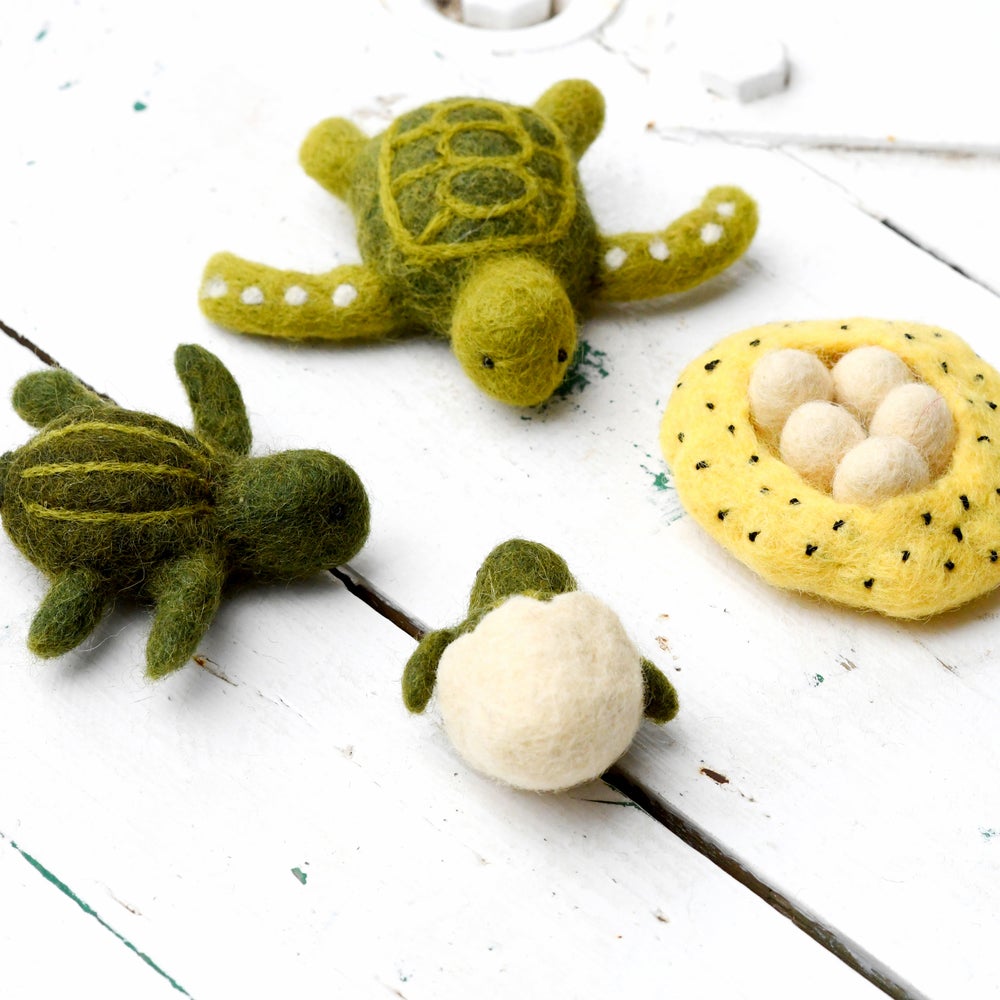 Felt lifecycle of sea turtle-Fun-Little Fish Co.