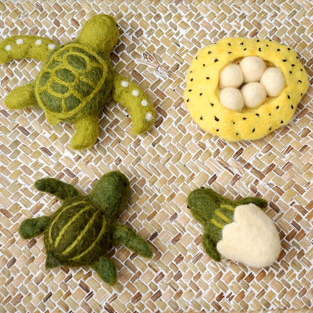 Felt lifecycle of sea turtle-Fun-Little Fish Co.