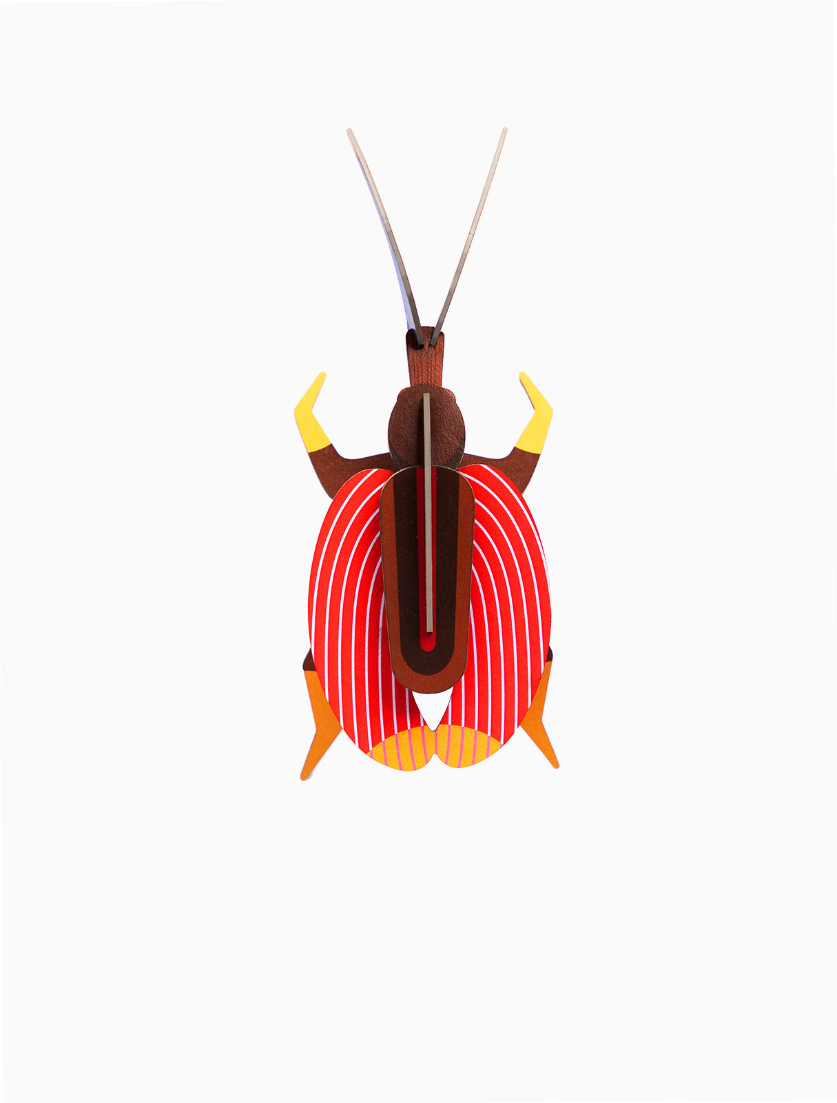 Violin Beetle-Little Fish Co.