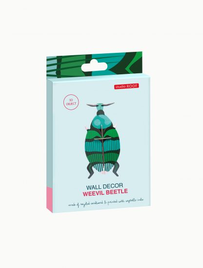 Weevil Beetle-Little Fish Co.