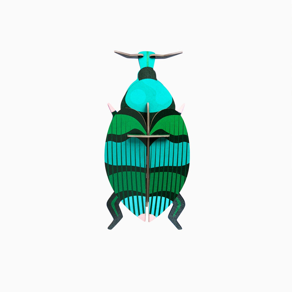 Weevil Beetle-Little Fish Co.