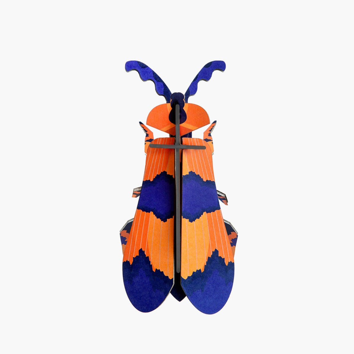 Winged Beetle-Little Fish Co.